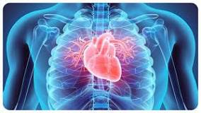 Серцево-судинні захворювання