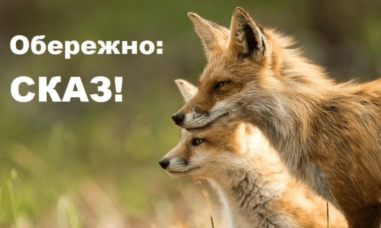 Інформаційно – роз’яснювальна кампанія з питань профілактики сказу